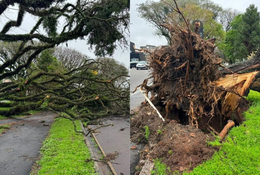 Chuva em Curitiba hoje
