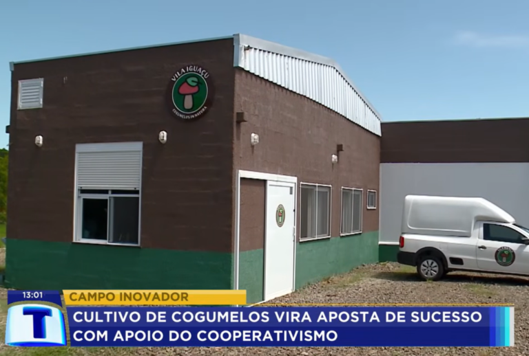 Rede-Massa-Foz-Do-Iguacu
