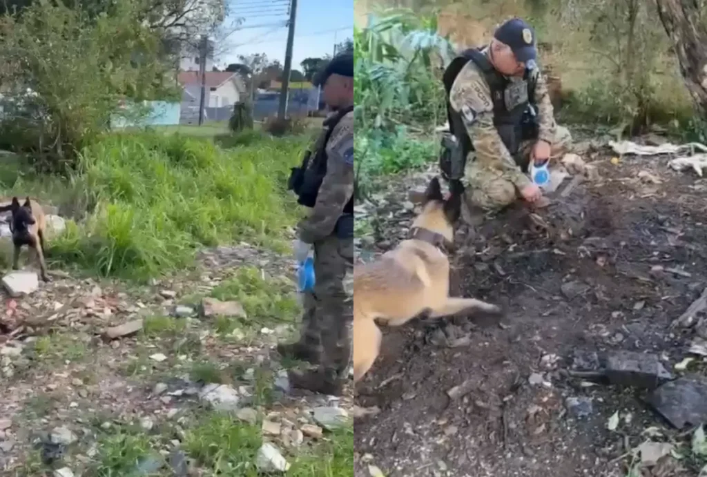 A Polícia Civil do Paraná (PCPR) encontrou uma espécie de cemitério clandestino na quarta-feira (2) no bairro Cajuru, em Curitiba.