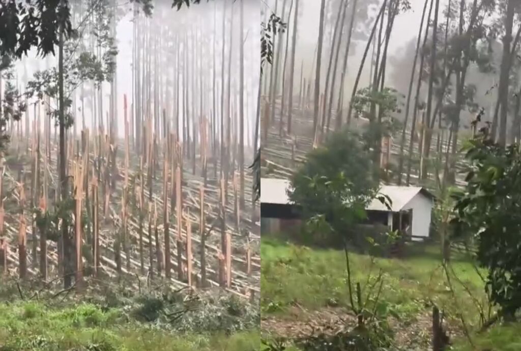 Tornado em Espigão Alto do Iguaçu