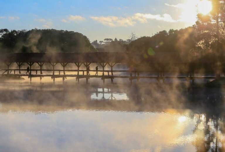 Frio no Paraná