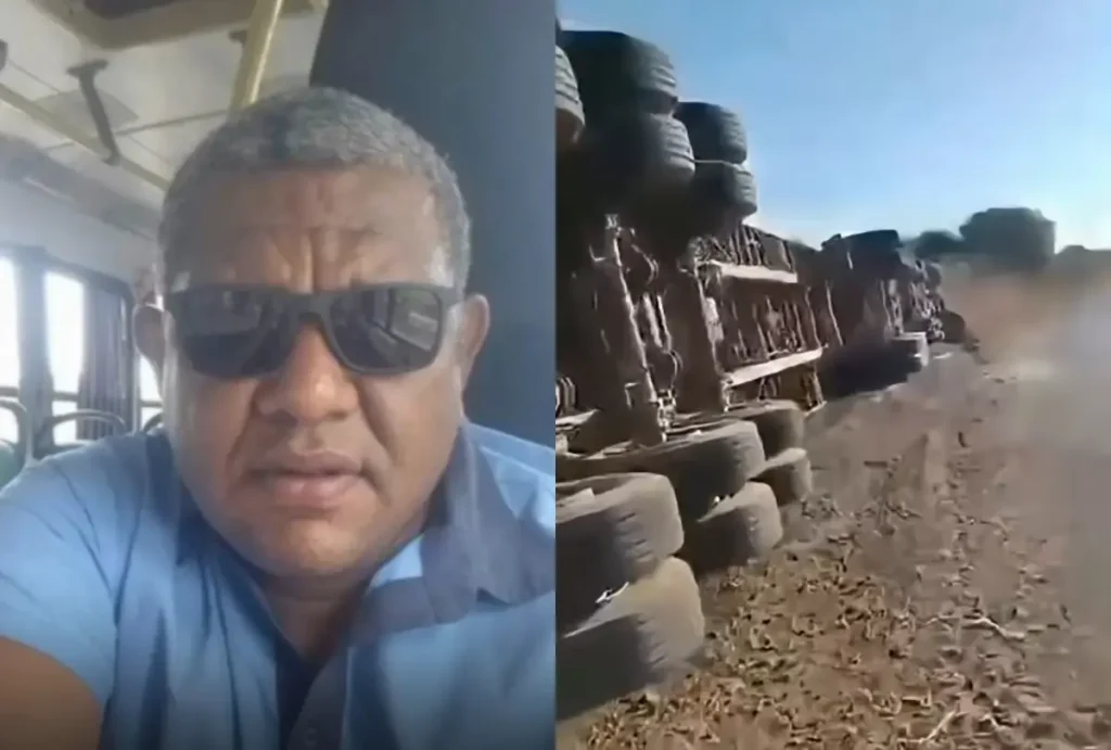 Homem morre após ser picado por abelhas