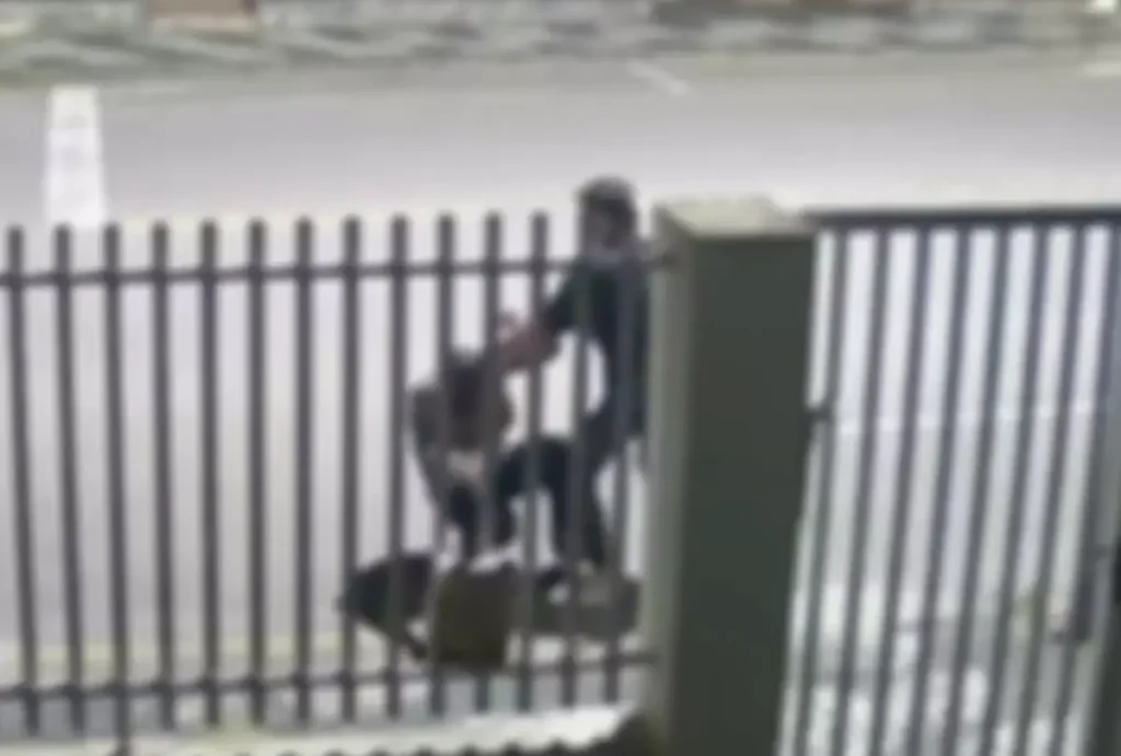 Idoso é agredido em Palmeira