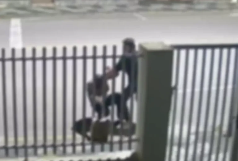 Idoso é agredido em Palmeira