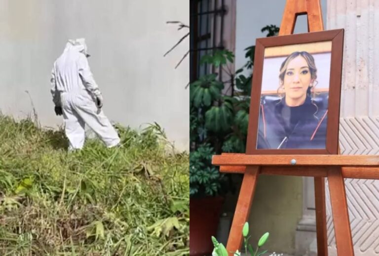 Juíza morre após levar 300 picadas em ataque de abelhas no México. Ela cobriu o filho de 3 anos com o próprio casaco para salvá-lo do enxame.