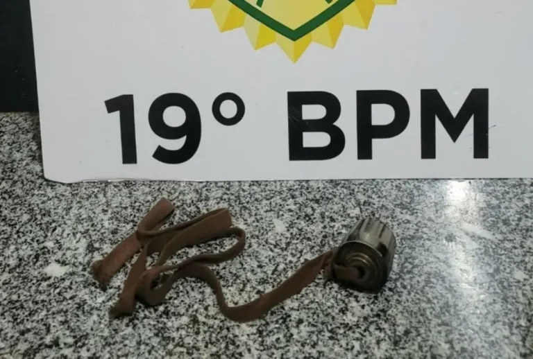 Menina de 9 anos é chicoteada no Paraná