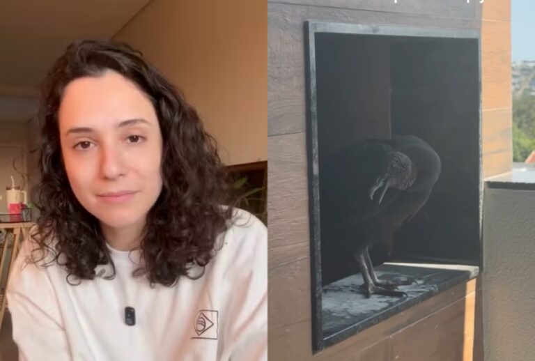 Moradora de Cascavel volta de viagem e encontra ninho de urubu na churrasqueira do apartamento. Saiba por que a lei proíbe a remoção da ave.