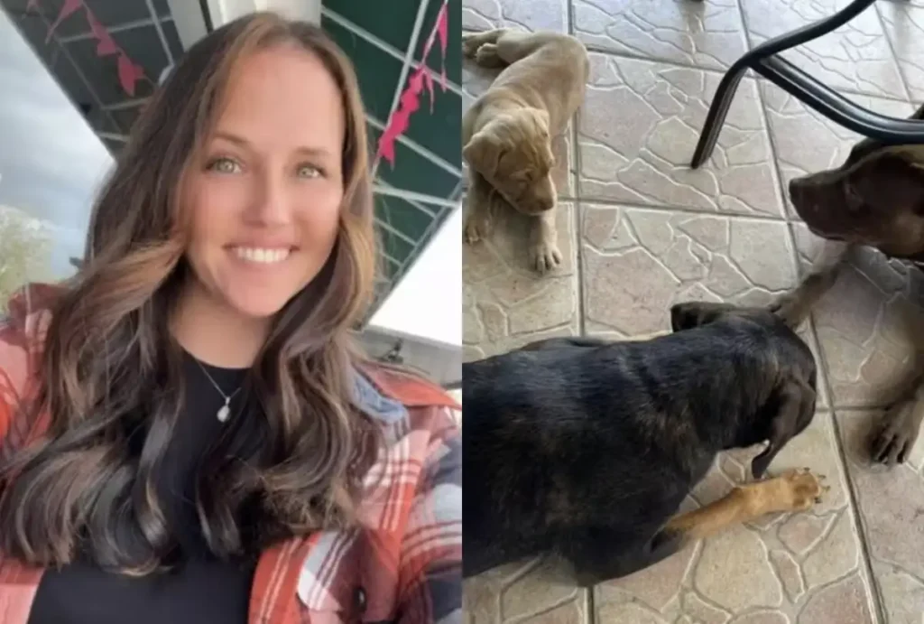 Mulher faz sexo com cachorro e vai presa