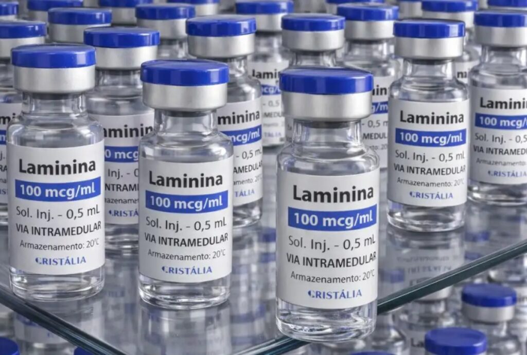 Testes em humanos com a polilaminina começam no dia 24 de setembro. Remédio brasileiro tem potencial para reverter lesões graves na medula.