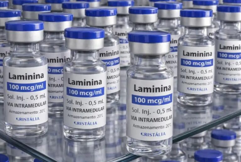 Testes em humanos com a polilaminina começam no dia 24 de setembro. Remédio brasileiro tem potencial para reverter lesões graves na medula.