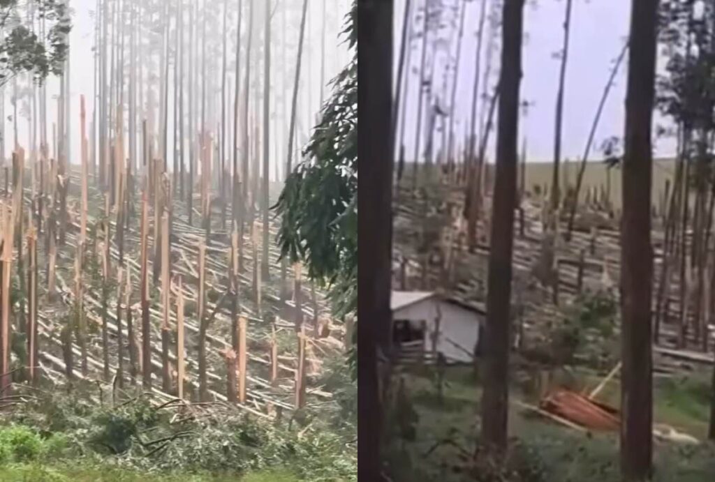 Tornado em Espigão Alto do Iguaçu, no Paraná