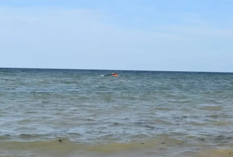 Um naufrágio deixou pelo menos 109 mortos e mais de 116 desaparecidos após um barco com 305 migrantes virar durante uma travessia marítima.