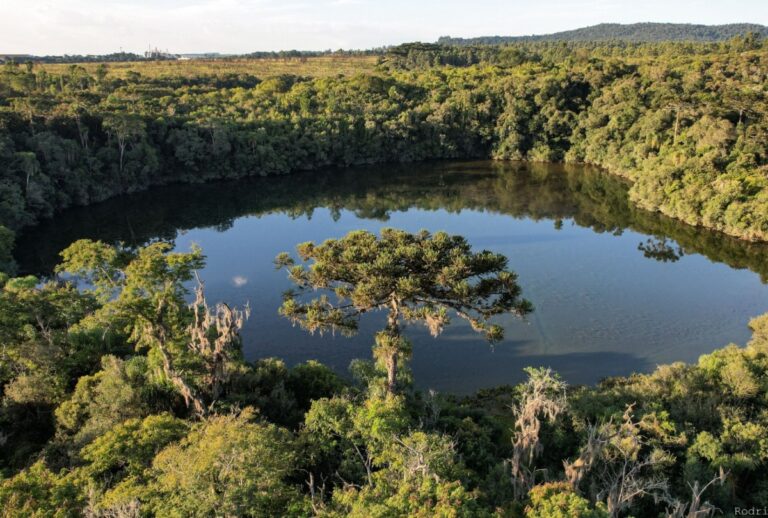 Parque Estadual de Vila Velha, em Ponta Grossa, oferece caminhada noturna e observação de aves neste sábado (24).