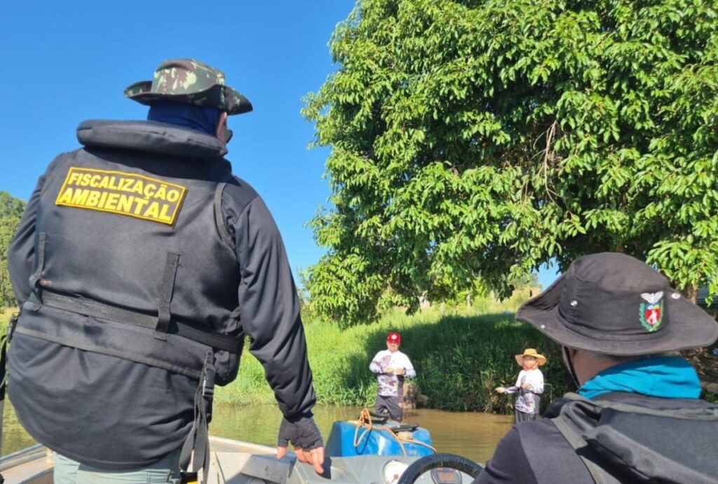 Piracema começa neste domingo (1º) no Paraná. Confira quais peixes são proibidos e os que seguem liberados para pescar.