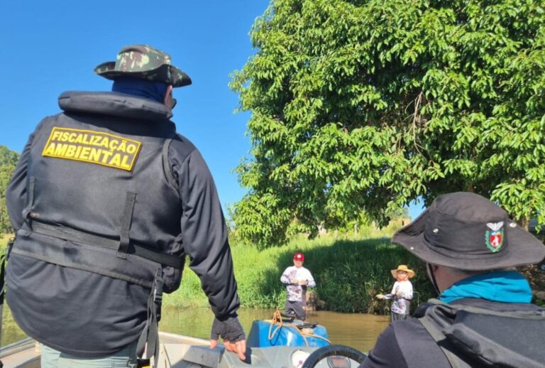 Piracema começa neste domingo (1º) no Paraná. Confira quais peixes são proibidos e os que seguem liberados para pescar.