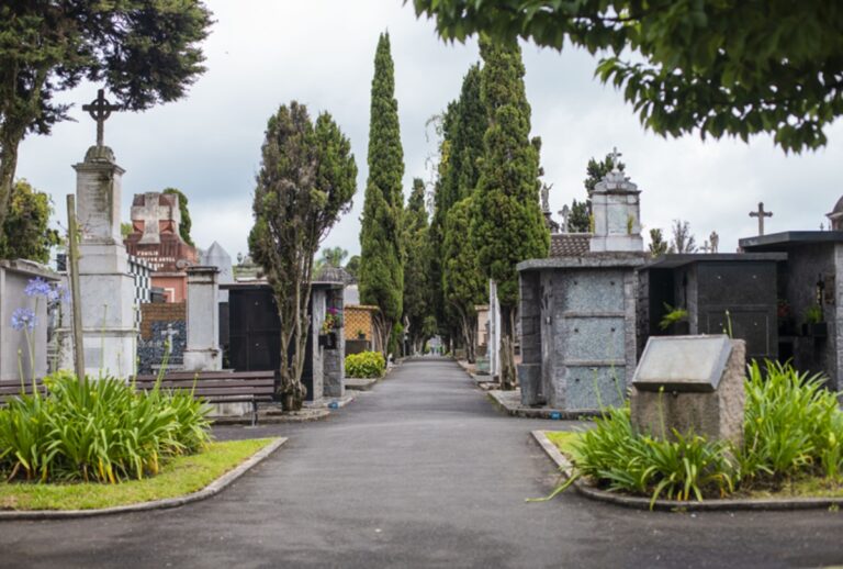 Confira os prazos e regras para limpeza e reparos de túmulos nos cemitérios municipais de Curitiba antes do Dia de Finados.