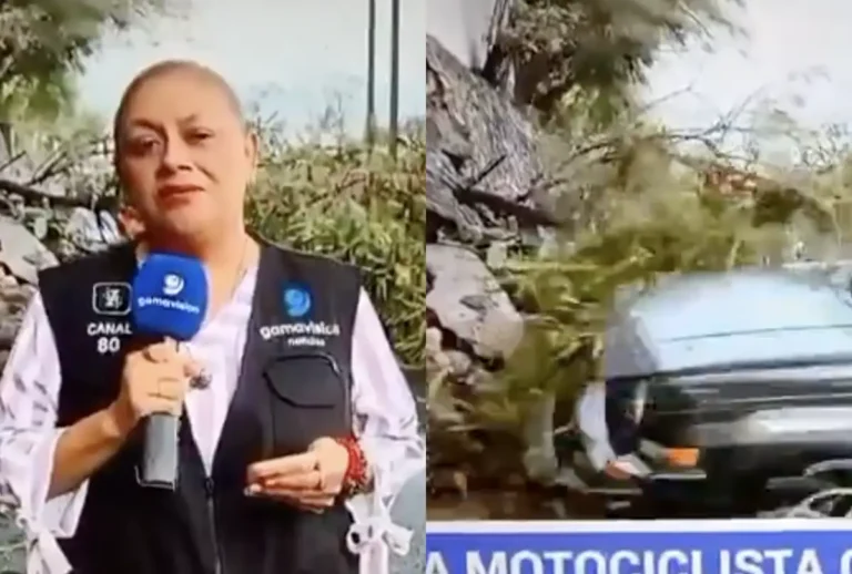Repórter é atropelada ao vivo