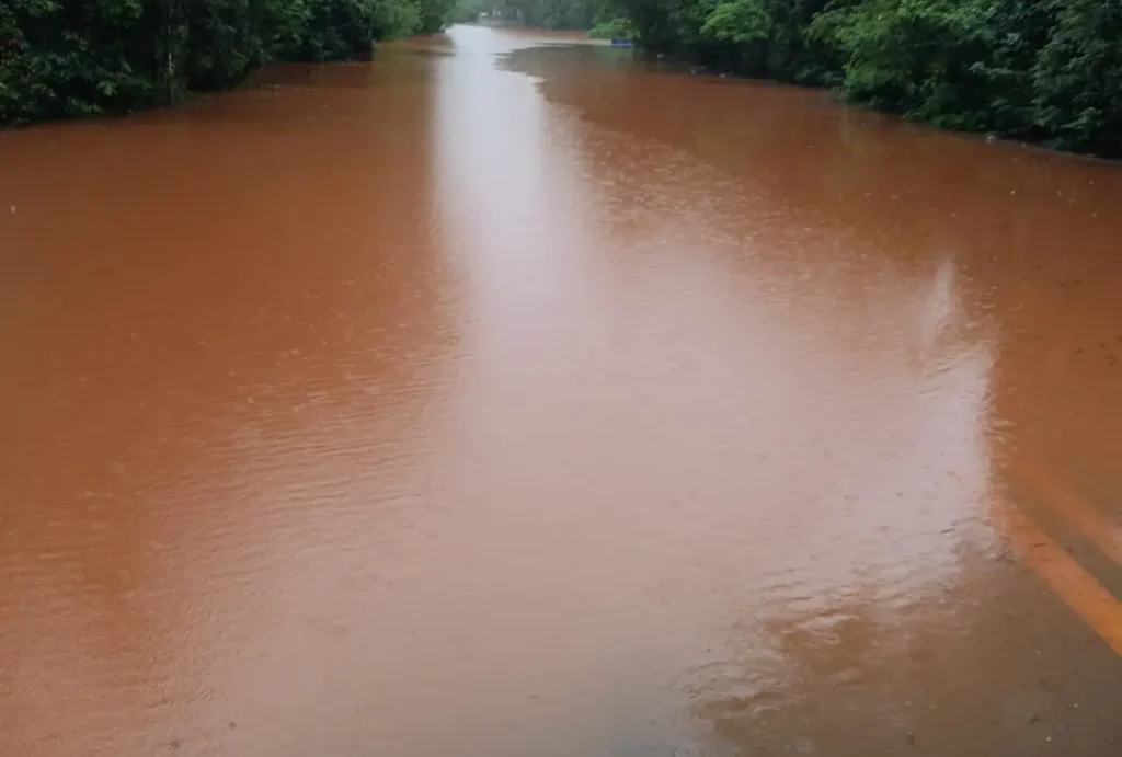 Quatro rodovias estaduais do Paraná estão interditadas por causa das chuvas.