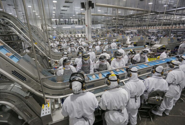 Taxa de desemprego caiu para 5,2% no terceiro trimestre de 2026, sendo o menor índice da história para o períodom segundo o IBGE.